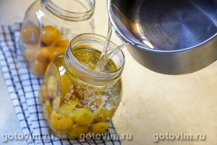 Компот із жовтої аличі на зиму (без стерилізації)