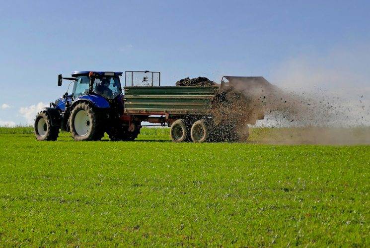 Скільки курячого посліду потрібно на гектар для доброго врожаю