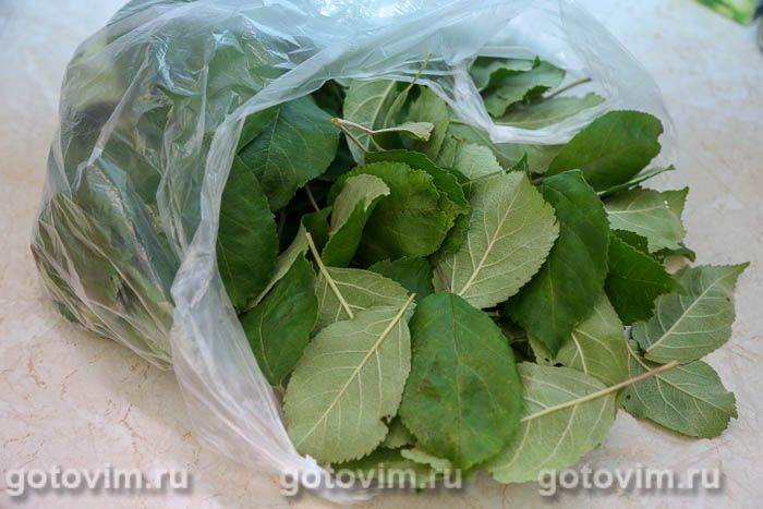 Ферментований чай із листя яблуні