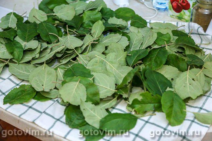 Ферментований чай із листя яблуні