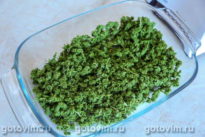 Ферментований чай з листя яблуні